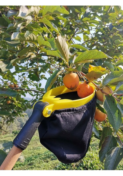 Ritar Mtj-101 Meyve Toplama Aparatı, Paslanmaz Çelik Bıçaklı