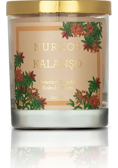 Nurxos 9685 Kalanşo Kutulu 2 Adet Kokulu Mum + Freshener Oda Spreyi