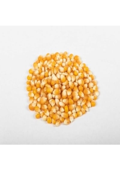 Tane Mısır 3 Kg Yemlik Mısır Yem Mısır Hayvan Yemi Mısır Yemi