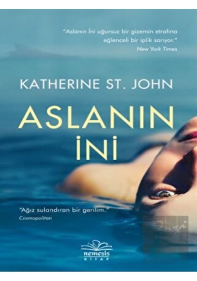 Aslanın İni Nemesis Kitap - Nemesis Kitap