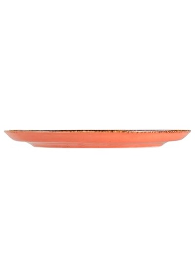 Ayrex 04alm001649 Seasons Pizza Tabağı, Porselen Diğer