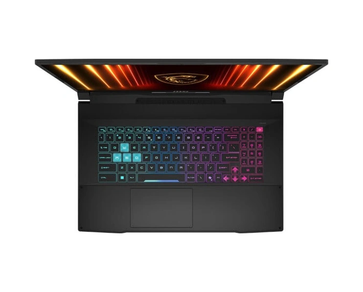MSI Katana 17 HX B14WFK-217TR-K6 i9-14900HX 8 GB 2 TB SSD 8 GB RTX5060 17.3" W11H Dizüstü Bilgisayar