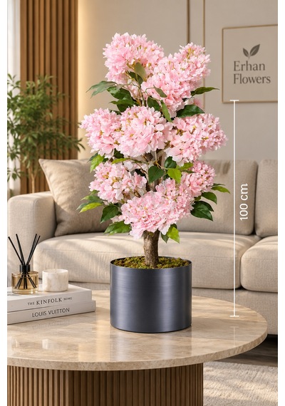 100 Cm Pembe Ortanca Ağacı