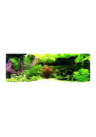 Kanki Pet Kp18565036 Akvaryum Arka Fon Yapıştırma 185 X 65 Cm