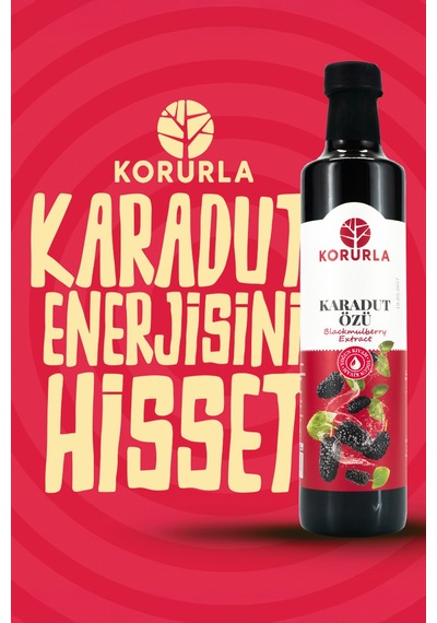 Karadut Özü 700 Gr Yoğun Kıvam