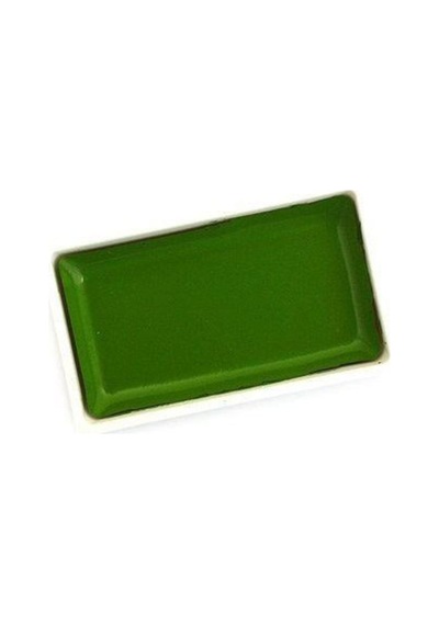 Kuretake Gansai Tambi Sulu Boya 53 Mıd Green Karışık, Çok Renkli