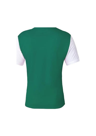 Nike Dri-fit Tiempo Prem Iı Jsy Ss Erkek Futbol Tişört-2802 Yeşil - Beyaz