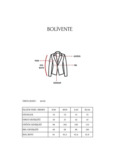 Kadın Taş İşlemeli Regular Vatkalı Blazer Ceket Siyah