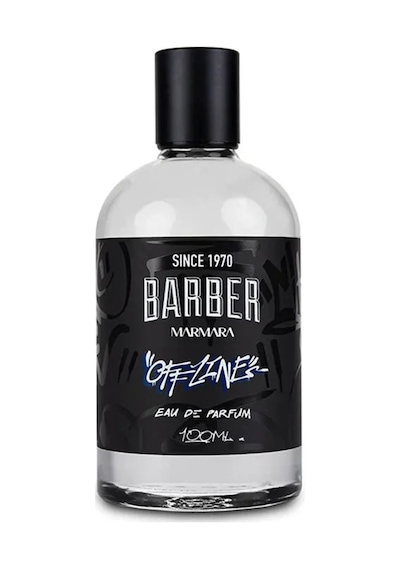 Offline 100 Ml Parfüm