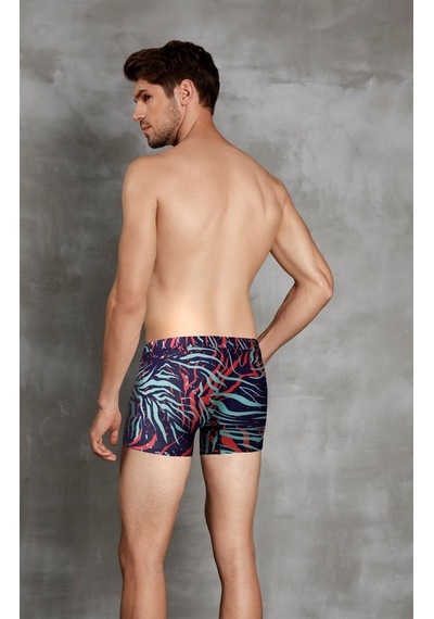 Doreanse Erkek Zebra Baskılı Boxer 1872