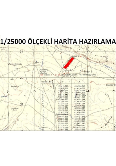 1-25000 Ölçekli Harita Parsel ve Koordinatlı