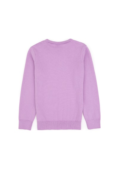 U.S. Polo Assn. Kız Çocuk Lila Bisiklet Yaka Basic Kazak 50313060-VR034