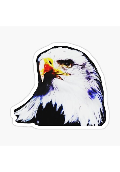 Araba Için Kartal Oto Sticker Yapıştırması Etiket 17Cm R6