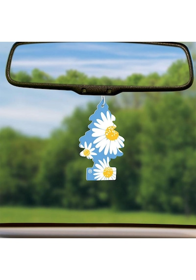 Little Trees Daisy Chain Papatya Aromalı Oto Kokusu 3 Adet