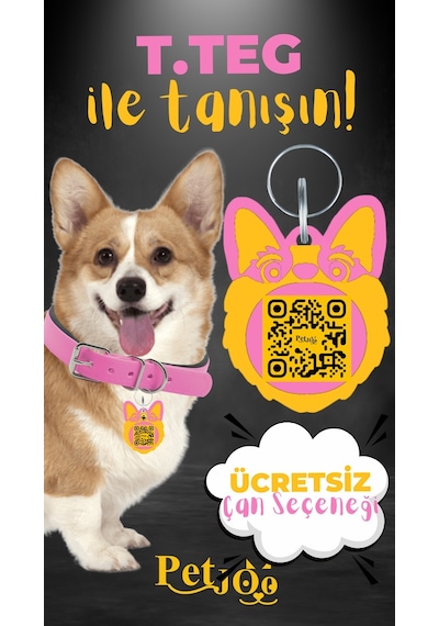 Petjoo 15.T.Teg Sarı-Pembe Qr'lı Köpek Künyesi