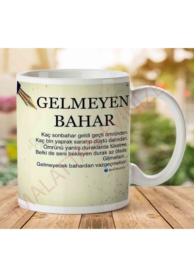 Şerif Maden Gelmeyen Bahar İki Tarafı Baskılı Kupa Bardak.jpg