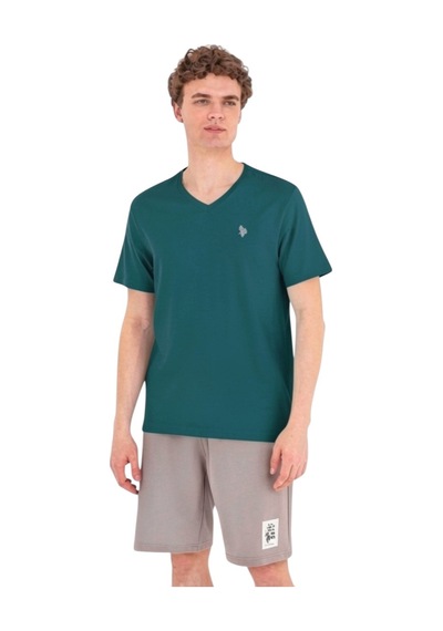 U.S. Polo Assn. Erkek V Yaka T-shirt Darkeden
