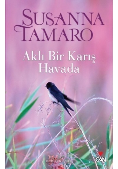 Aklı Bir Karış Havada - Susanna Tamaro - Can Yayınları