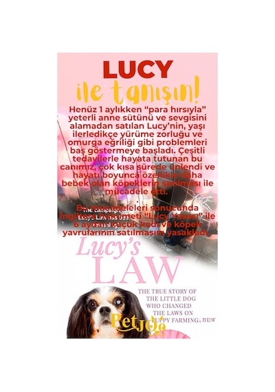 Petjoo 11.Lucy Sarı-Kırmızı Qr'lı Köpek Künyesi