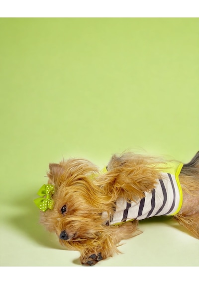 Lime Fuzz Atlet Köpek Kıyafeti Köpek Elbisesi