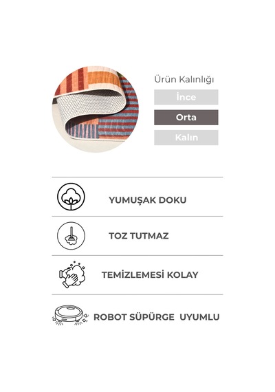 Lexus Çok Renkli Premium Halı & Yolluk Özel Kaymaz Tabanlı Yıkanabilir Tozumaz Modern Karışık Renkli