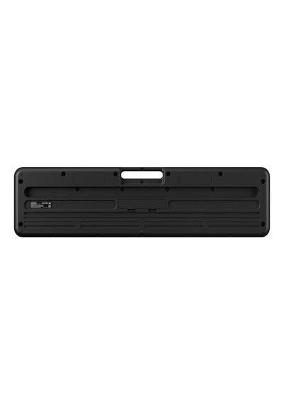Casio Ct-s100 61 Tuşlu Org