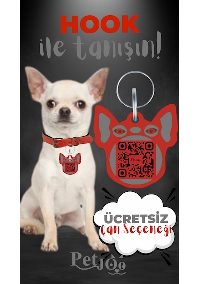 Petjoo 7.Hook Gri-Kırmızı Qr'lı Köpek Künyesi