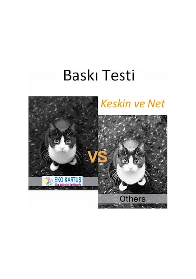 Epson Ecotank 110 Pigment Mürekkep Uyumlu