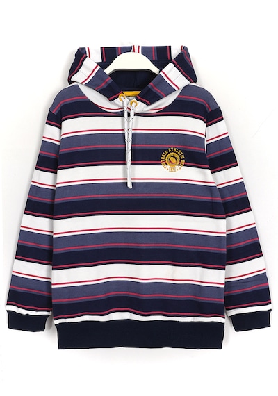 Dobakids Çizgili Nakış Detaylı Kapüşonlu Erkek Çocuk Sweatshirt 1970 Çok Renkli