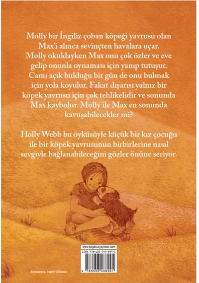 Kaybolan Köpek Max