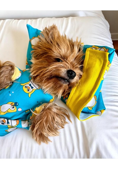 Kemique Penpen The Penguin Penye Tulum Yastık Takım Uyku Set Köpek Tulum Elbise