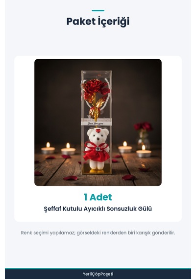 Şeffaf Kutulu Ayıcıklı Sonsuzluk Gülü Standart