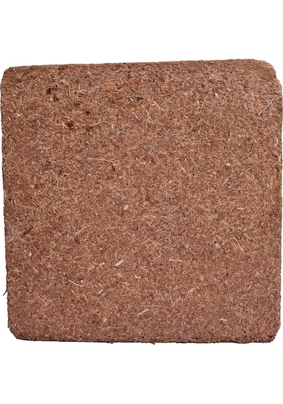 Biorfe Premium Cocopeat 5 Kg Sıkıştırılmış Hindistan Cevizi Torfu