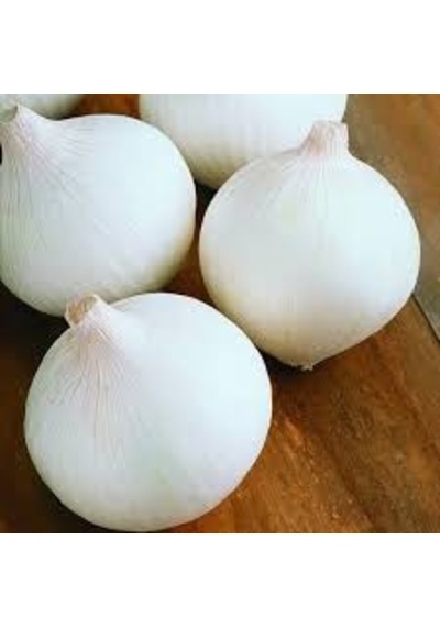 100 Adet Tohum Tatlı Beyaz Soğan Tohumu Tohumlu