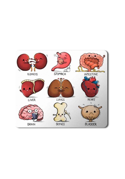 Organlar Vücut Organları Kalp Beyin Kemik Böbrek Baskılı Mouse Pad Mousepad.jpg
