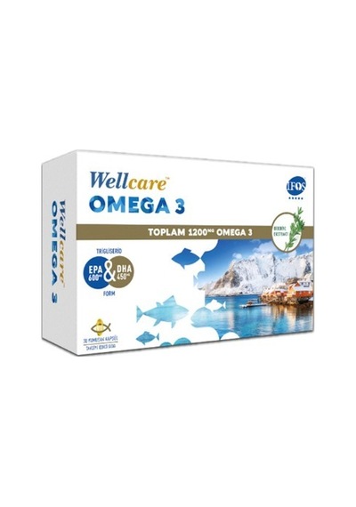 Wellcare Omega 3 1200 Mg 30 Kapsül