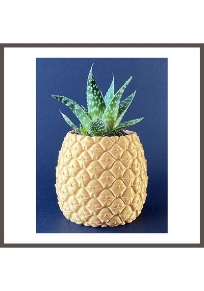 Bezos 3d Baskı Ananas Formlu Saksı Ve Kalemlik Kabartma Dokulu Sukulent Saksısı Masaüstü Bitki Ve Kalem Tutucu Nxrlvng