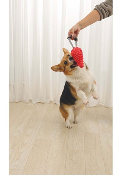 M-pets Drogo Ödül Hazneli Köpek Oyuncağı Turuncu 18x8,5x8,5 Cm 244-50131.01