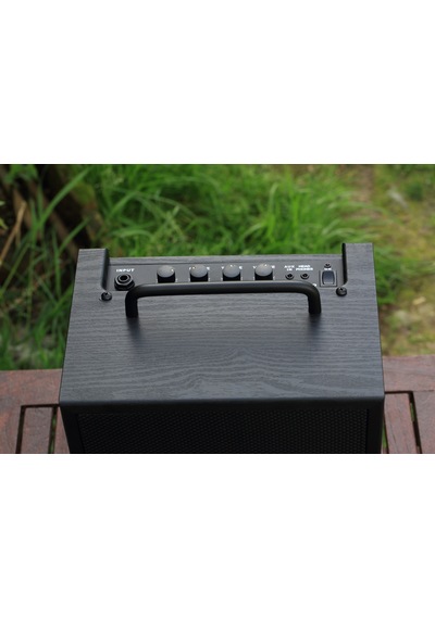 Ibanez Ibz10Bv2 Bas Gitar Amfisi