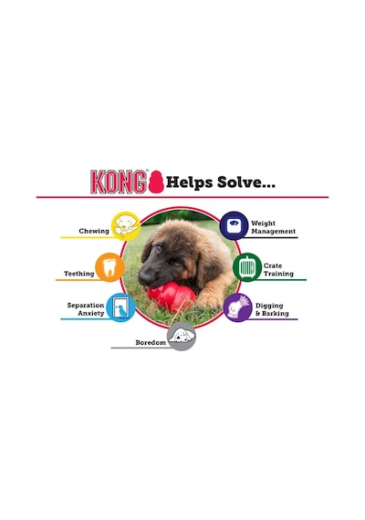 Kong Classic Köpekler İçin Isırma Oyuncağı Xxl