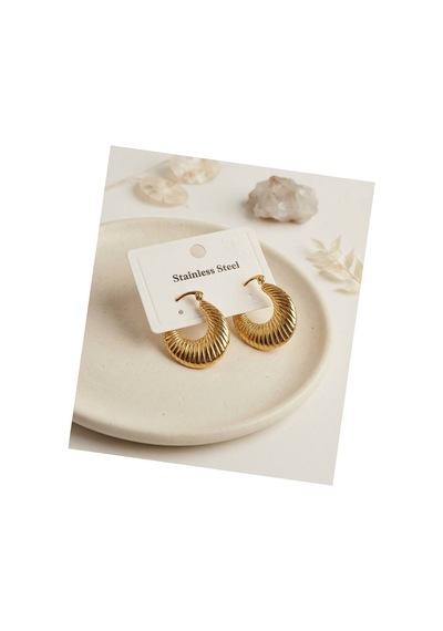 316l Çelik Gold Renk Halka Model Küpe Tj-bkp12021 Evimdeyokyok