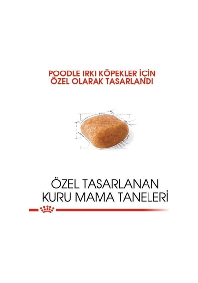 Poodle Adult Yetişkin Köpek Maması 3 Kg, 12546854785