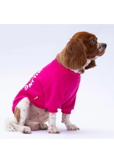 Pawstar Pembe Lahti Polarlı Küçük Irk Köpek Sweatshirtü