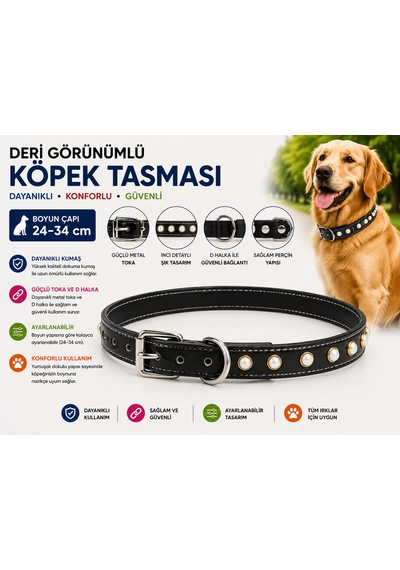 İncili Deri Görünümlü Köpek Boyun Tasması 24-34 Cm Küçük Irk Ayarlanabilir Metal Tokalı - Siyah Çok Renkli