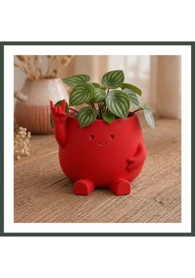 Bezos 3d Baskı Smiley Face Planter - Gülümseyen Karakterli Saksı-kırmızı Nhr Standart