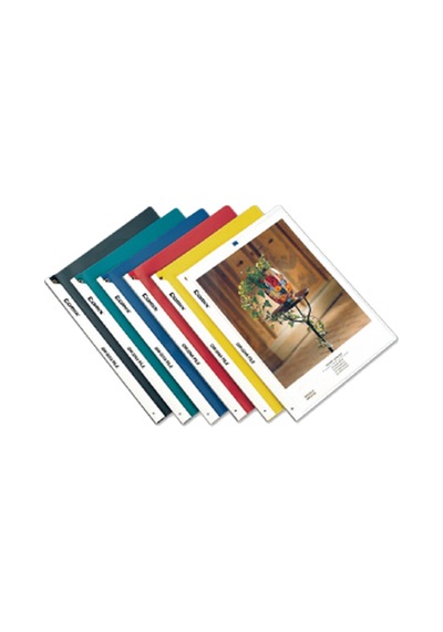 Comix Sıkıştırmalı Dosya Sırttan Klips Şeffaf Renkler Qw324a