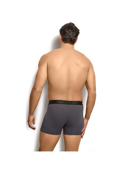 Jiber Erkek Füme Modal Pamuklu Boxer 321
