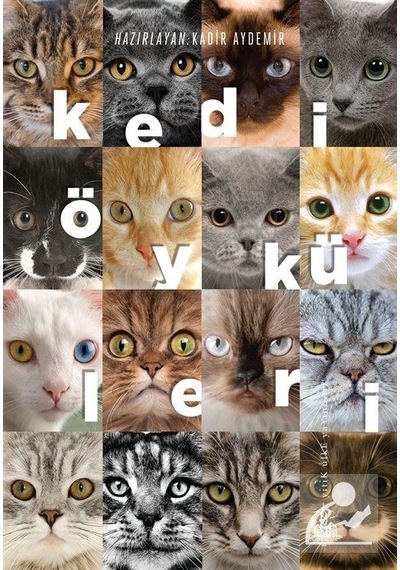 Kedi Öyküleri- Yitik Ülke Yayınları