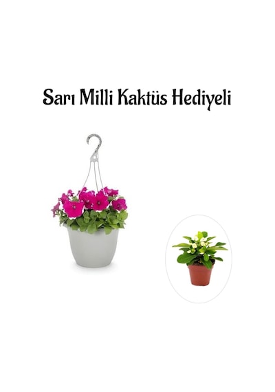 Anneler Gününe Özel Askılı Pembe Petunya Çiçeği Sarı Milli Kaktüs Hediyeli