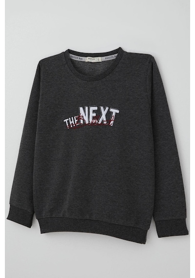 Breeze Erkek Çocuk Sweatshirt Yazı Nakış Baskılı 5-10 Yaş, Koyu Gri Melanj Koyu Gri Melanj Breeze Erkek Çocuk Sweatshirt Yazı Nakış Baskılı 5-10 Yaş, Koyu Gri Melanj Koyu Gri Melanj